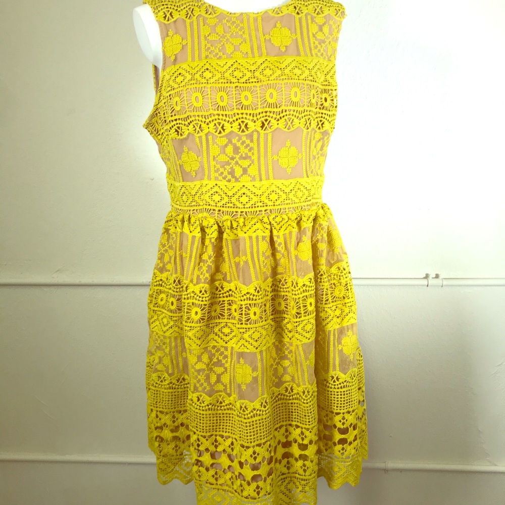 Chelsea28 Lace Fit & Flare Dress